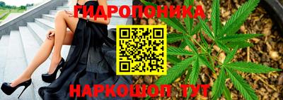 скорость Славгород