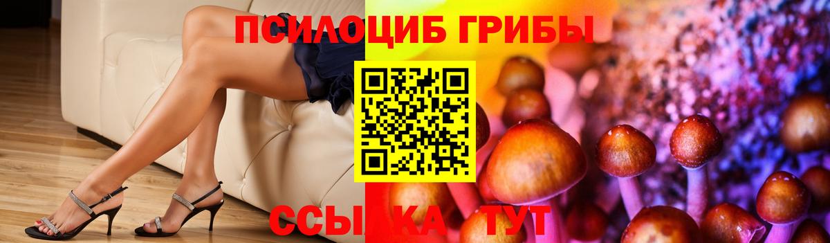 Галлюциногенные грибы GOLDEN TEACHER Нижневартовск